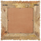 Vidaxl spiegel 50x50 cm massief mangohout