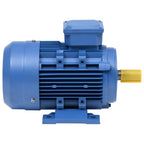 Vidaxl elektromotor 3 fase 3 kw 4 pk 2-polig 2840 rpm aluminium