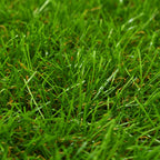 VidaXL Kunstgras 1,5x10 m/40 mm groen