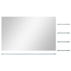 Vidaxl wandspiegel met 5 schappen 100x60 cm zilverkleurig