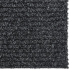 Vidaxl droogloopmat 100x300 cm antracietkleurig