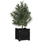 Vidaxl plantenbak 31x31x31 cm massief grenenhout zwart