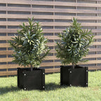 Vidaxl plantenbakken 2 st 31x31x31 cm massief grenenhout zwart