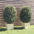 VidaXL Plantenbakken 2 st 40x40x40 cm massief grenenhout wit