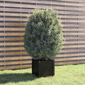 Vidaxl plantenbak 40x40x40 cm massief grenenhout zwart