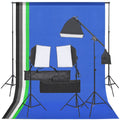 VidaXL Fotostudioset met verlichtingsset en achtergrond