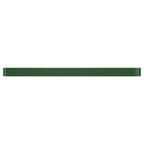 Vidaxl plantenbak 620x80x36 cm gegalvaniseerd staal groen