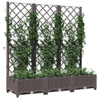 Vidaxl plantenbak met trellis bruin 120x40x121,5 cm pp