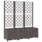 Vidaxl plantenbak met trellis bruin 120x40x136 cm pp