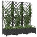 Vidaxl plantenbak met trellis zwart 120x40x121,5 cm pp