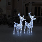 Vidaxl kerstrendieren 2 st 80 led's acryl koudwit