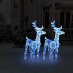 Vidaxl kerstrendieren 2 st 80 led's acryl blauw