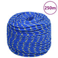 Vidaxl boottouw 6 mm 250 m polypropyleen blauw