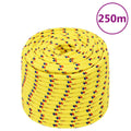 Vidaxl boottouw 14 mm 250 m polypropyleen geel
