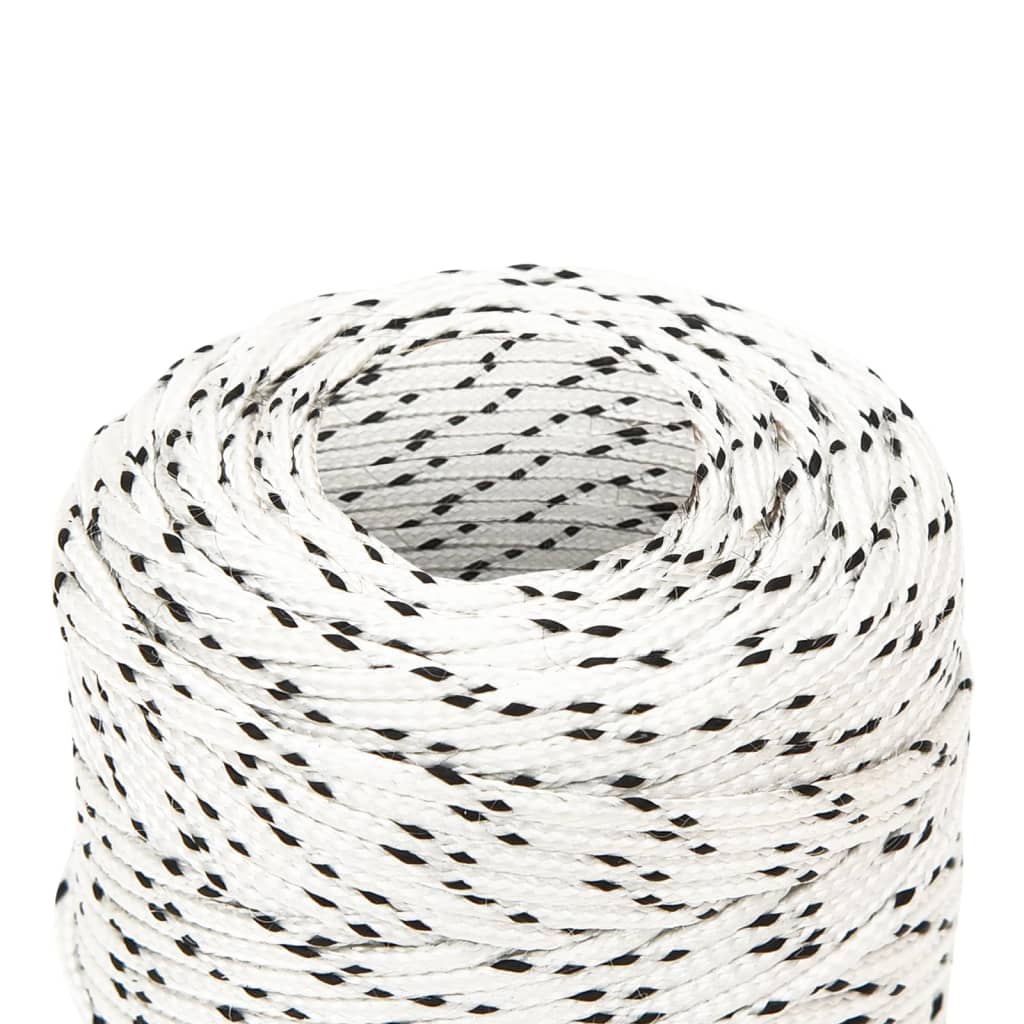 Vidaxl boottouw gevlochten 2 mm x 500 m polyester wit