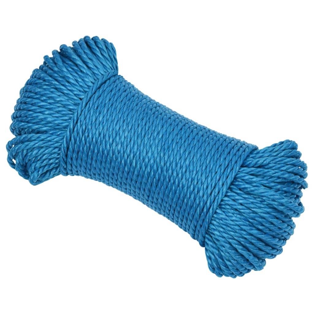 Vidaxl werktouw 6 mm 25 m polypropeen blauw