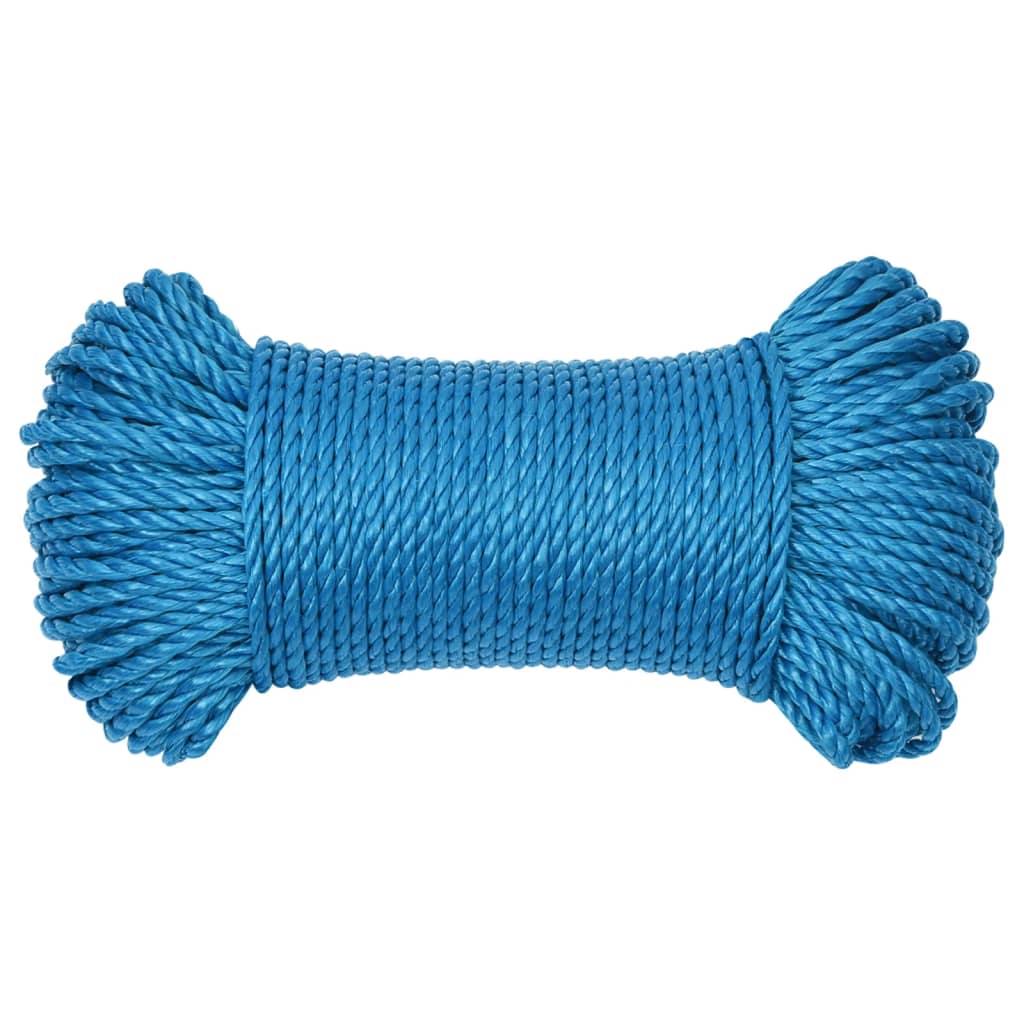 Vidaxl werktouw 6 mm 50 m polypropeen blauw