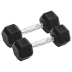 Vidaxl halters 2 st 10 kg totaal gietijzer