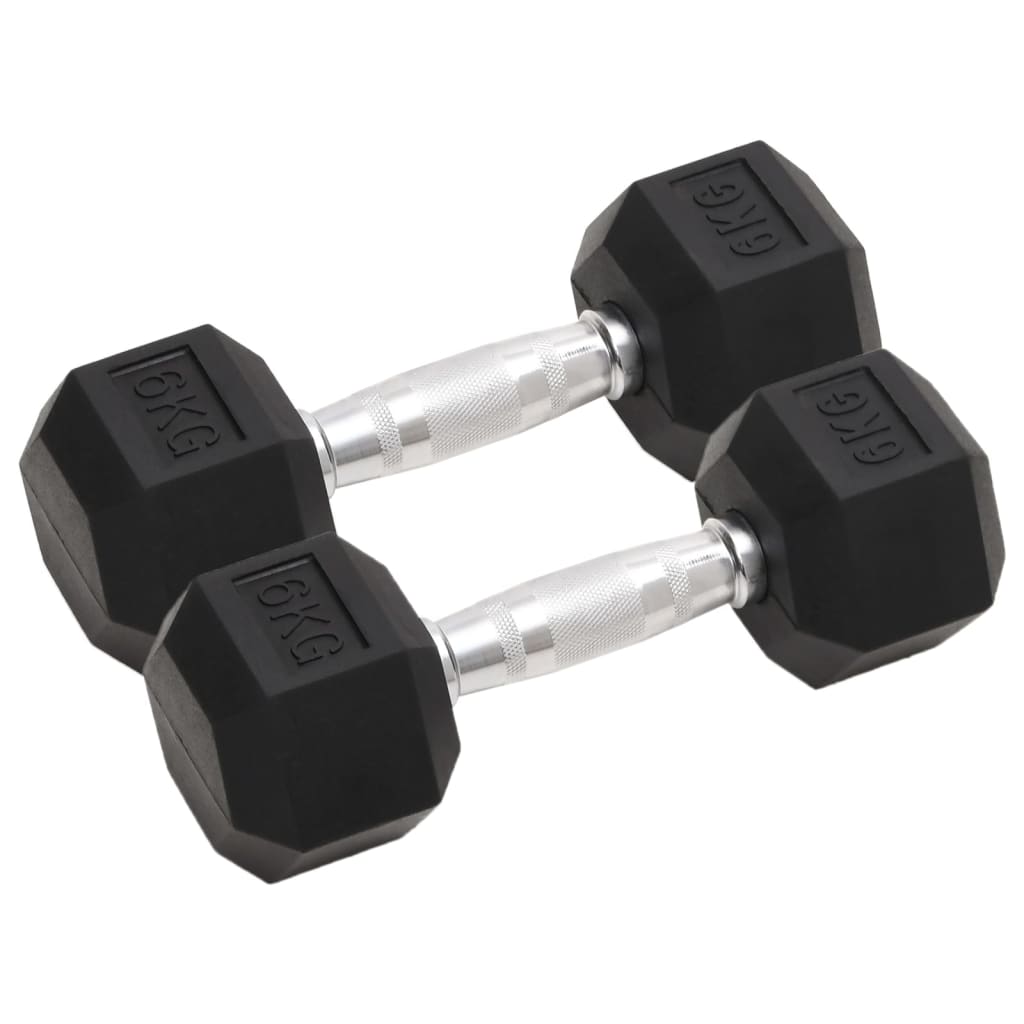 Vidaxl halters 2 st 12 kg totaal gietijzer