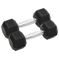 Vidaxl halters 2 st 12 kg totaal gietijzer