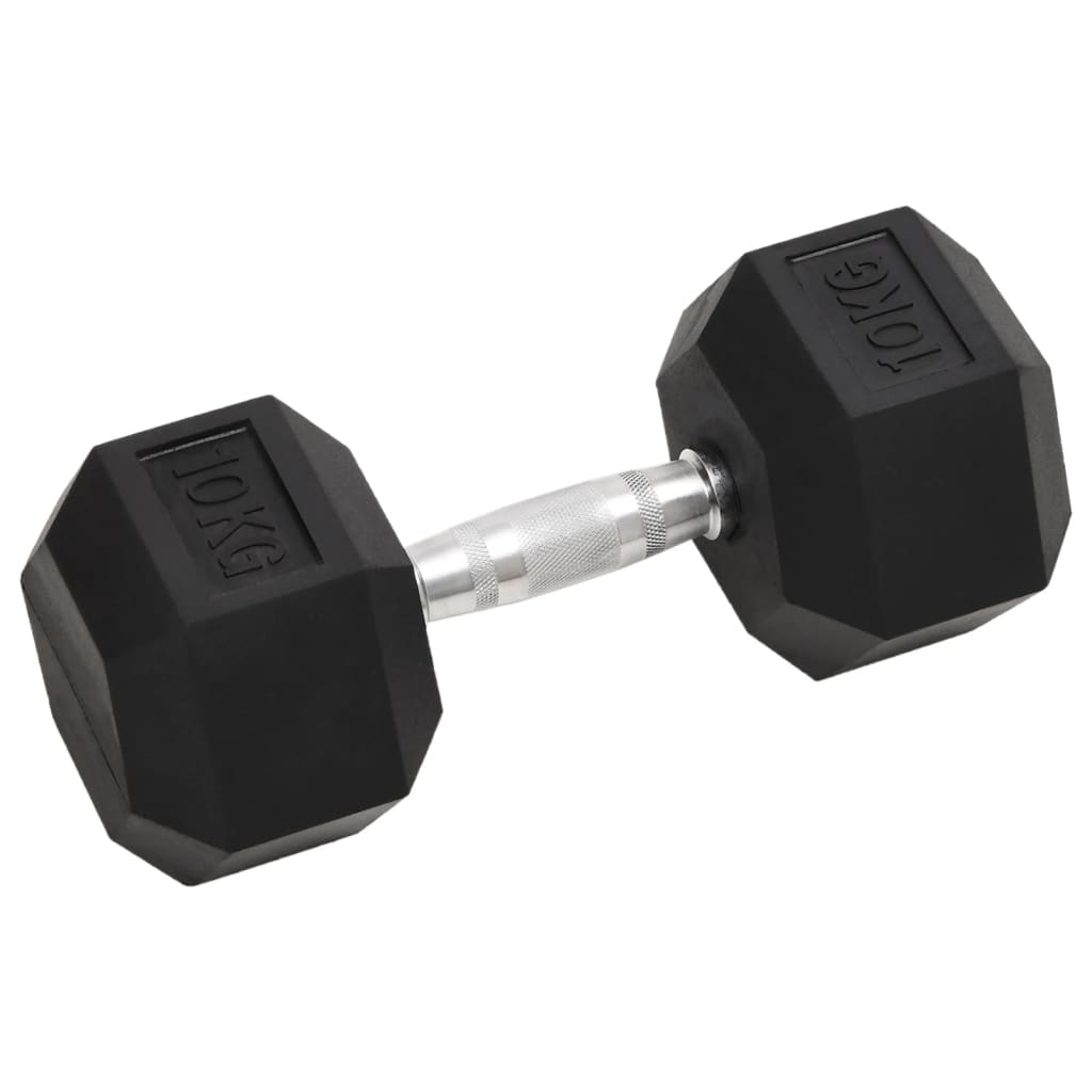 Vidaxl halters 2 st 20 kg totaal gietijzer