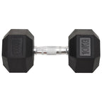 Vidaxl halters 2 st 20 kg totaal gietijzer