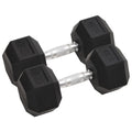 Vidaxl halters 2 st 25 kg totaal gietijzer
