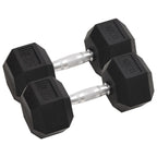 Vidaxl halters 2 st 25 kg totaal gietijzer
