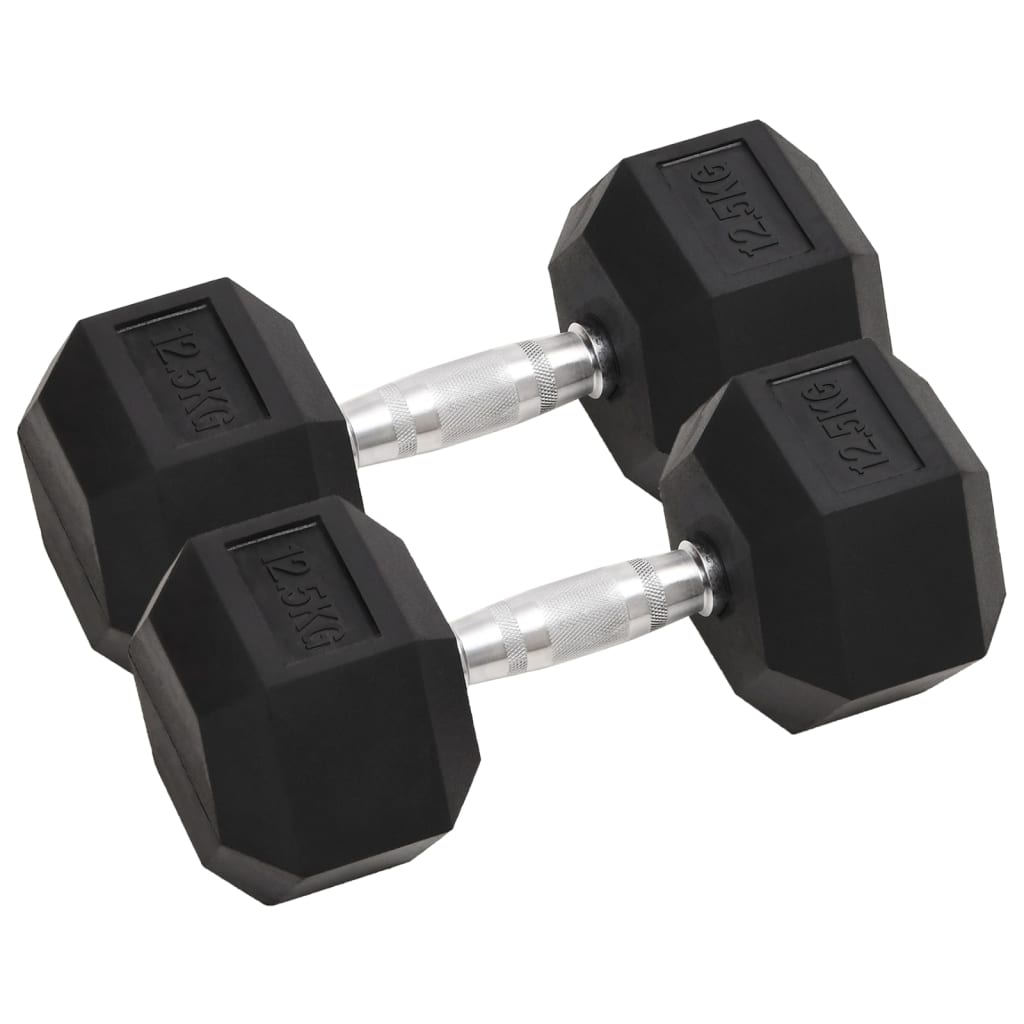 Vidaxl halters 2 st 25 kg totaal gietijzer
