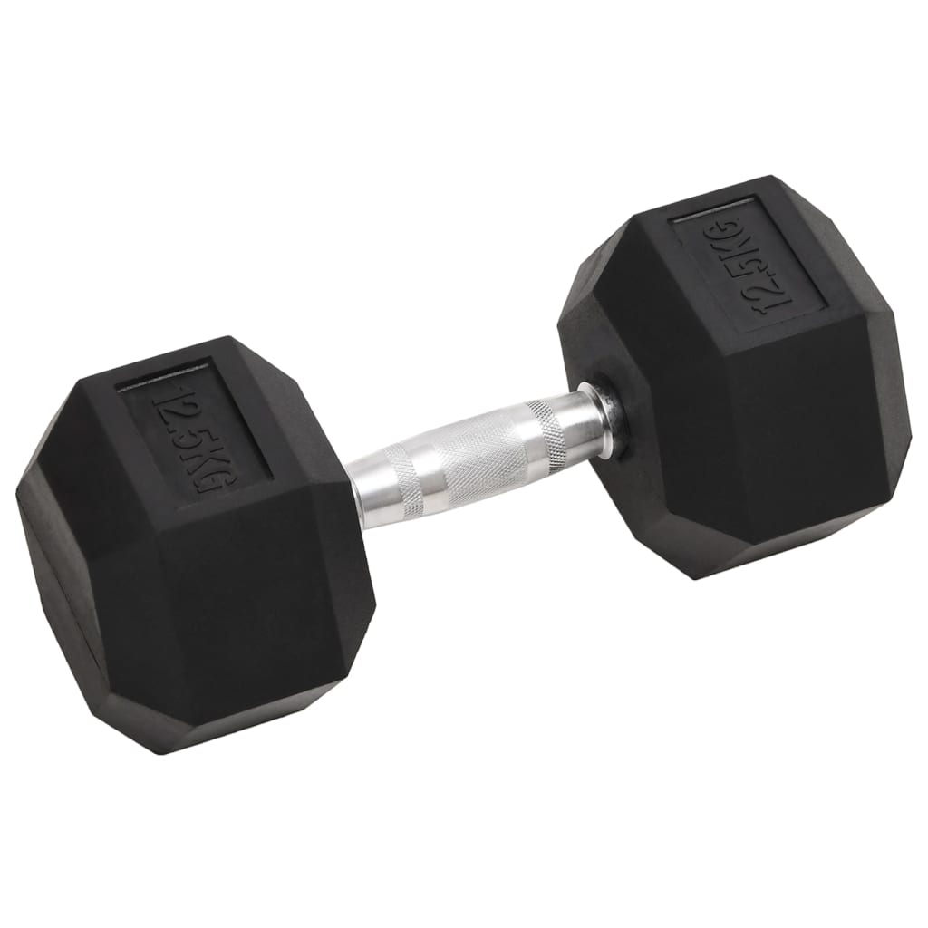 Vidaxl halters 2 st 25 kg totaal gietijzer