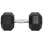 Vidaxl halters 2 st 25 kg totaal gietijzer