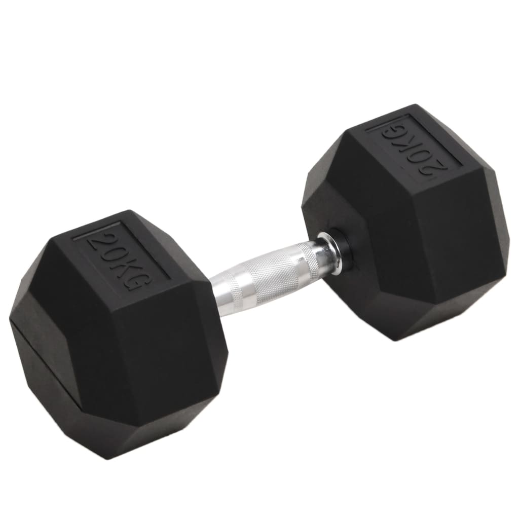 Vidaxl halters 20 kg gietijzer