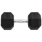 Vidaxl halters 20 kg gietijzer
