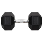 Vidaxl halters 20 kg gietijzer