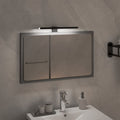 VidaXL Spiegellamp LED 5,5 W 30 cm 6000 K koudwit