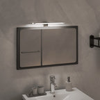 VidaXL Spiegellamp LED 5,5 W 30 cm 6000 K koudwit