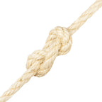 Vidaxl touw 12 mm 25 m 100% sisal