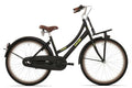 Bike fun kids fiets bikefun 20 rn load meisjes
