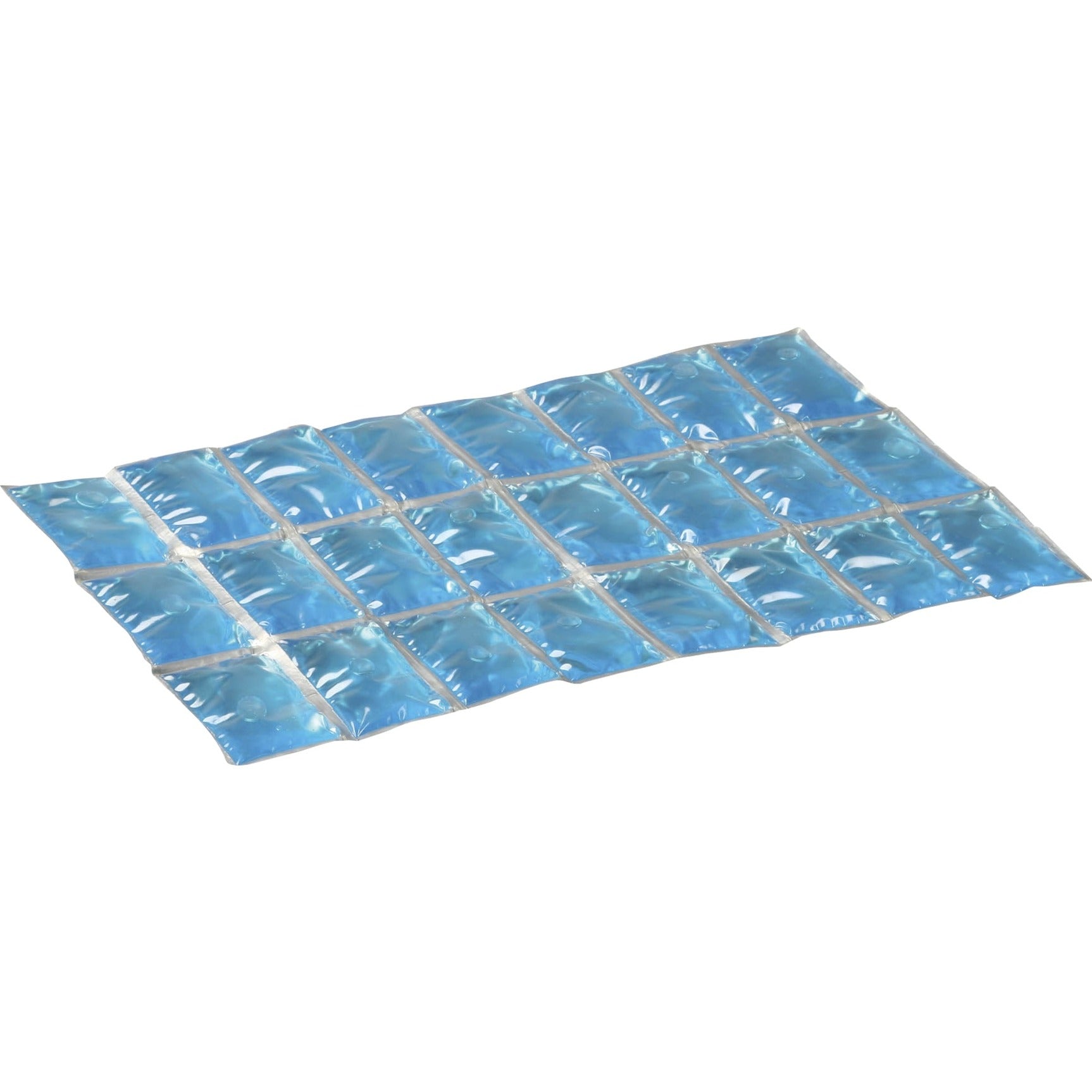 Campingaz Freez'Pack L