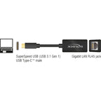 Delock superspeed usb-c (usb 3.1 gen 1) male > gigabit lan 10 100 1000 mbps compact adapter (zwart, 0,135 meter)