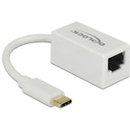 Delock superspeed usb-c (usb 3.1 gen 1) male > gigabit lan 10 100 1000 mbps compact adapter (wit, 0,135 meter)