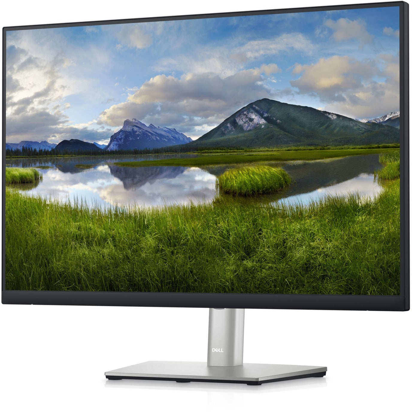 Dell P2423