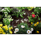 Gardena bovengrondse druppelbuis 4,6 mm (3 16 ) druppelaar (zwart, 1362-20, 15 m)