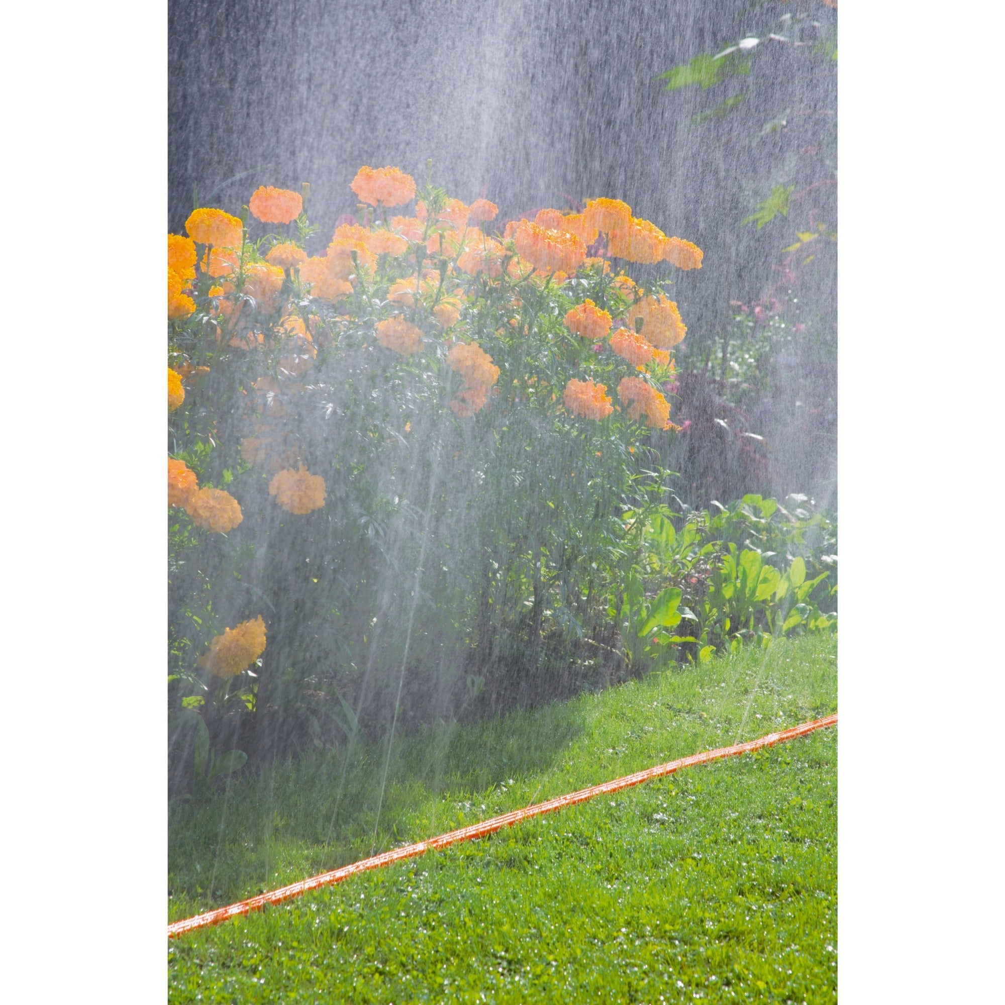 Gardena sproeierslang sprinklersysteem (oranje, 996-20, 15 m)