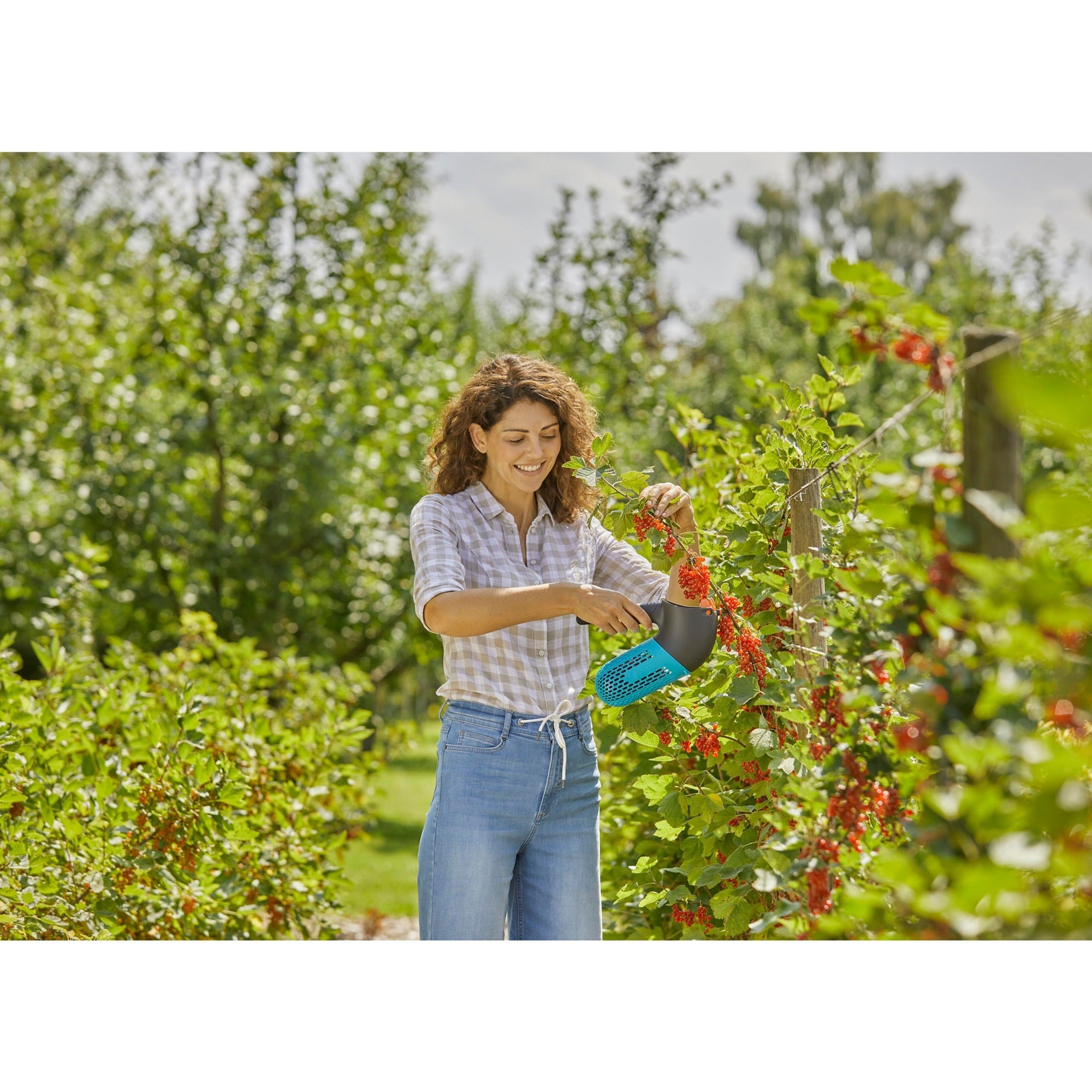Gardena combisystem bessenplukker fruitplukker (zwart turquoise)