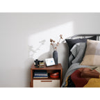 Google Google Hub (2e generatie)
