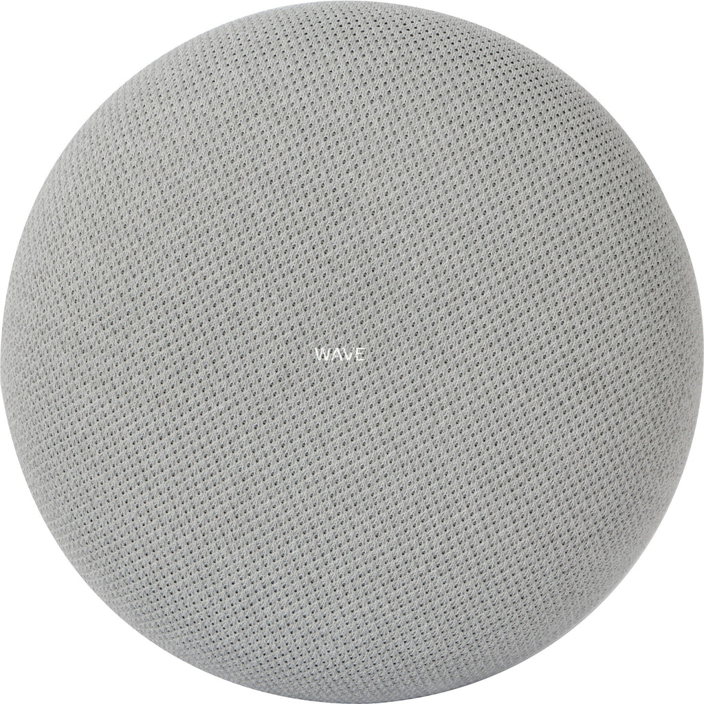 Google Google Mini