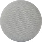 Google Google Mini