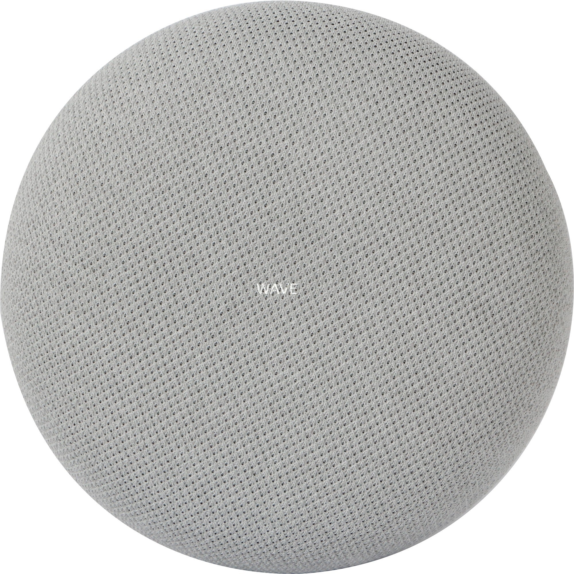 Google Google Mini