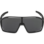 Alpina bonfire - sports glasses